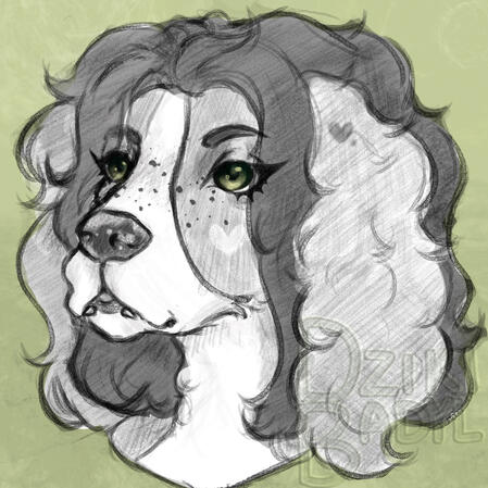 oc: kyliethespaniel
